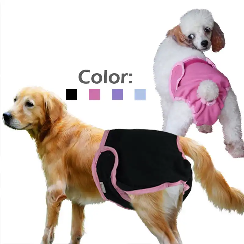 dog diapers female xl