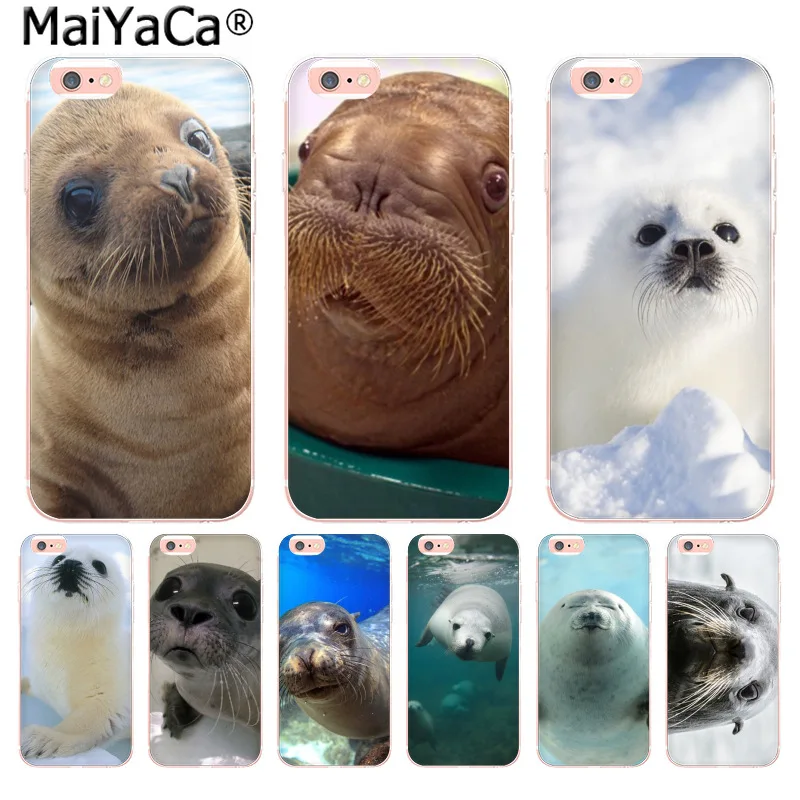 iphone 8 case sea lion iphone 8 case sea lion