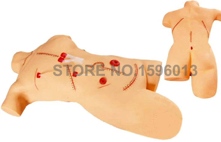 LV18 Surgical sally bandaging simulator