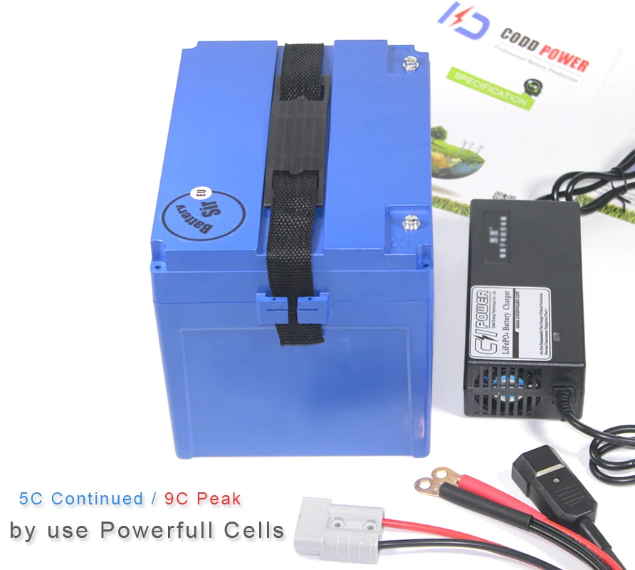 Best 48v 10ah lifepo4 battery pack 48V Lifepo4 battery 2000 time cycle 6