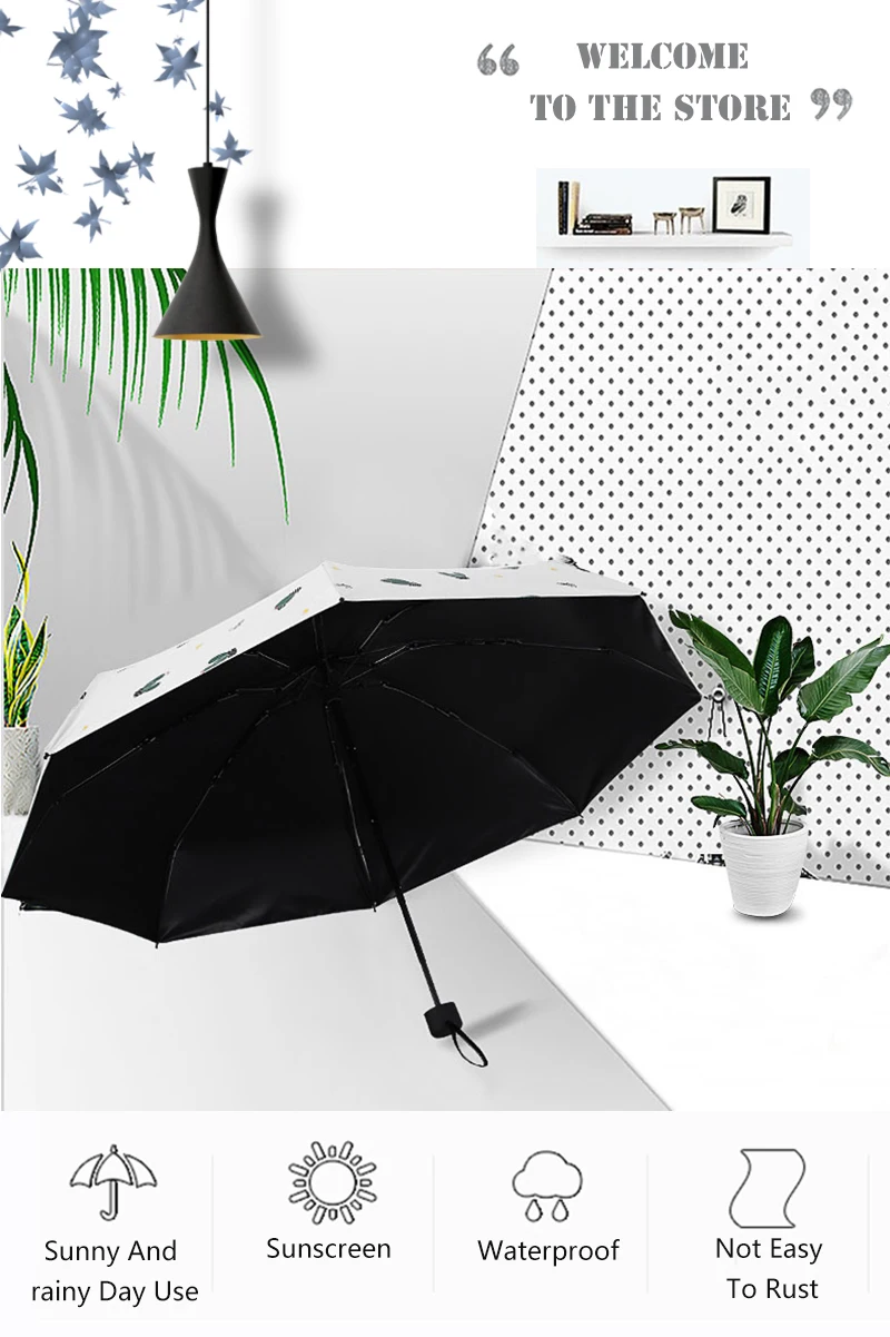 Transparent Umbrella (1)