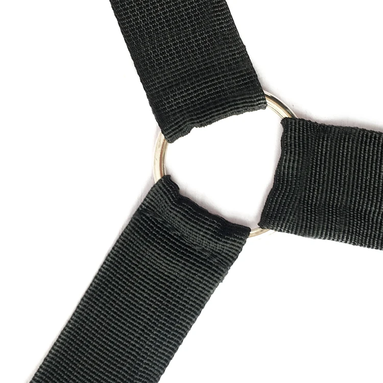 bondage harness  (11)