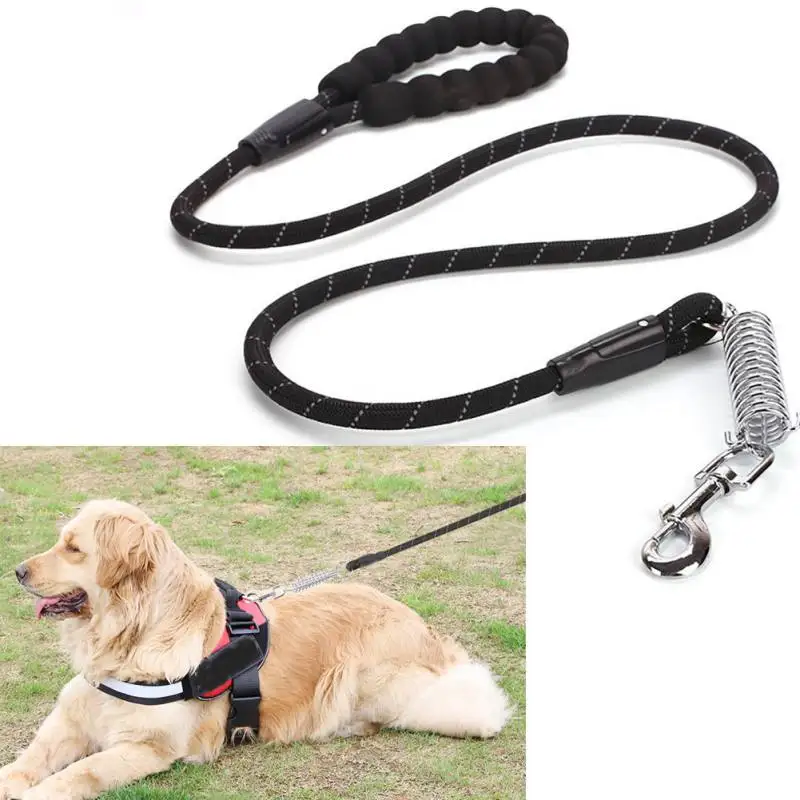 Какой поводок выбрать для собаки: советы и рекомендации