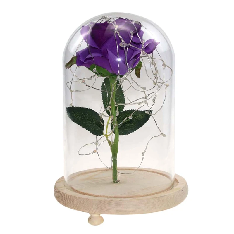 Led Simulation Rose Light String Fairy Light Bottle Night Light