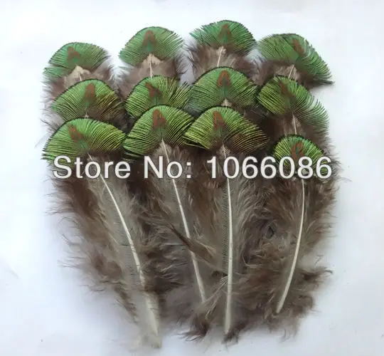 

Free Shipping! 100/lot 7-9cm Peacock Feather Golden Green Peacock Plumage Feathers Craft/Fish/Tying