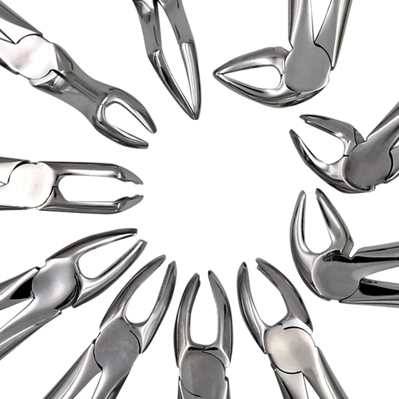 10pcs set Adult Tooth Extracting Forceps Pliers With Toolkit Dental Surgical Extraction Instruments For Dental Clinic 1 10pcs set Adult Tooth Extracting Forceps Pliers With Toolkit Dental Surgical Extraction Instruments For Dental Clinic 4