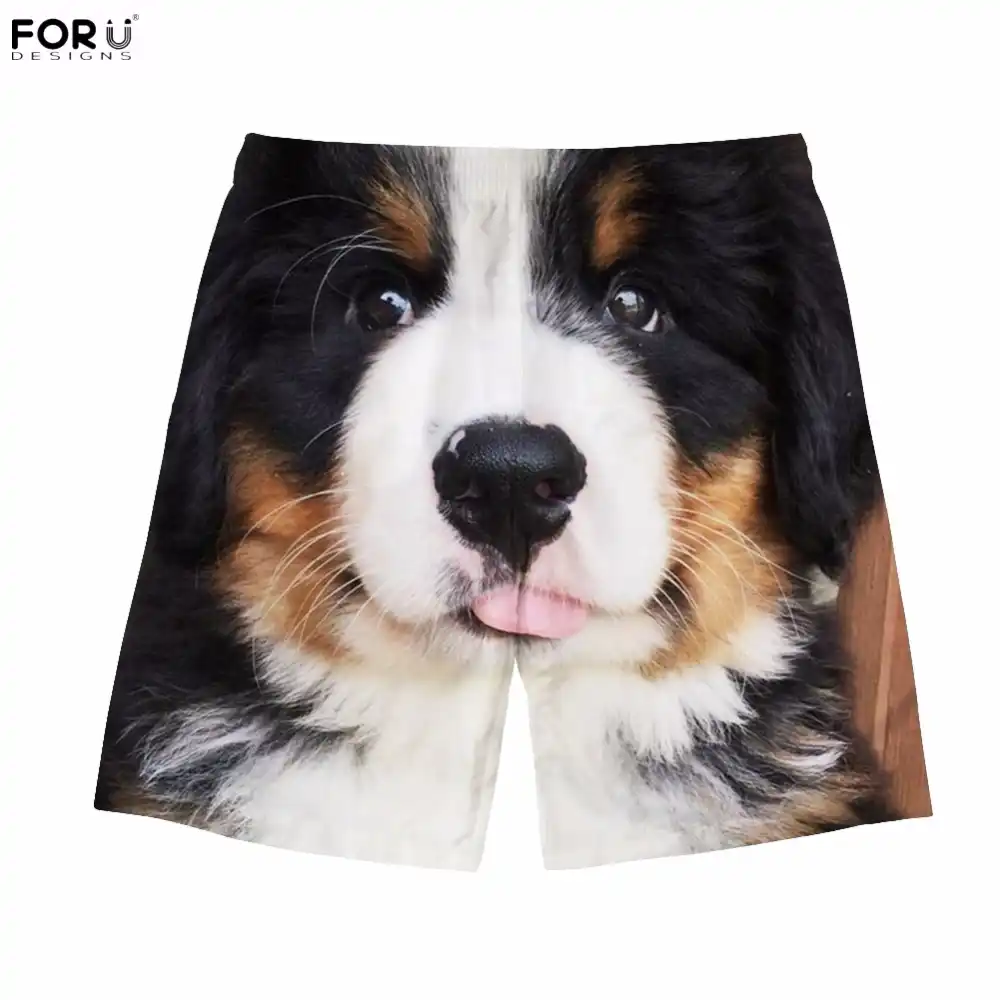Bernese mountain dog apparel Clearance