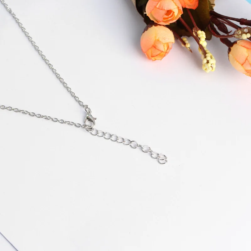 4131493295_968250156