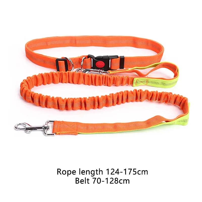 New Hot Style Night Reflective Elastic Nylon Leashes Hand Free Waist Belt Jogging Leads Retractable Leash For Small Pet Dogs