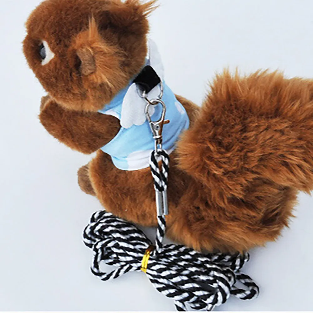 Cute Squirrel Harness Leash Small Pet Vest Suit Outdoor Jogging 1pcs Chest strap With1pcs traction rope Dog Supplies@30 | Дом и сад