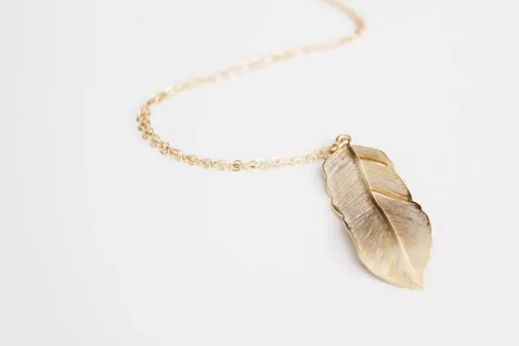 3418160476_2139691661 (1)