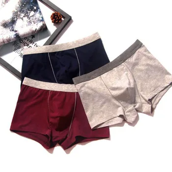 

Men Boxers 365 Cotton Boxer Shorts Plus Size 4XL Brand Underwear Man Cueca Underpants Boxer Calvn Panties Men Trunks 2Pcs/lot
