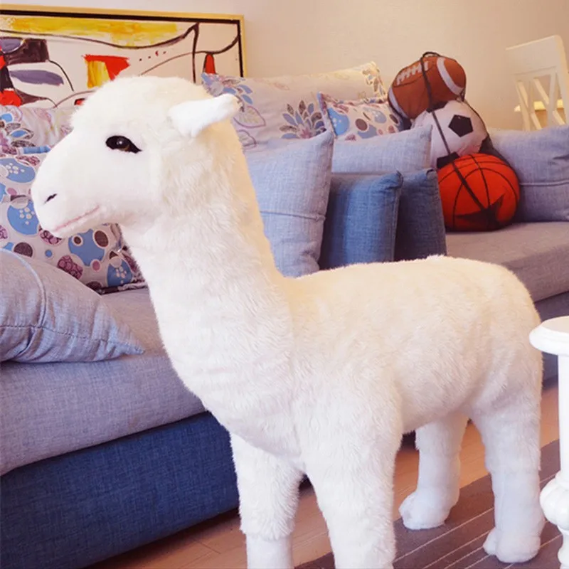 alpaca 2