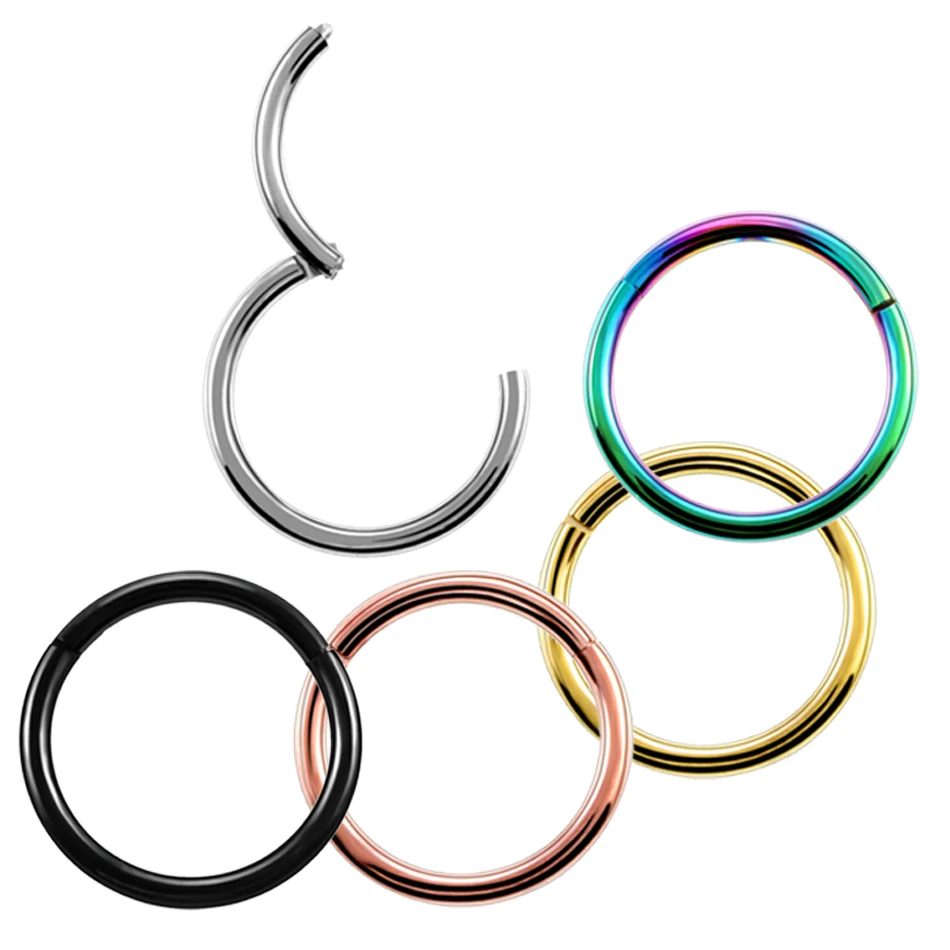 2Pcs/lot G23 Titanium Fake Nose Ring Goth Punk Lip Ear Nose Clip On Fake Septum Piercing Nose Ring Hoop Lip Hoop Rings Earrings