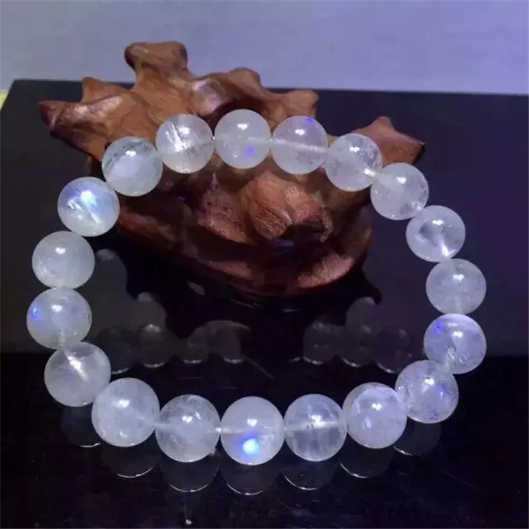 MS0008-1