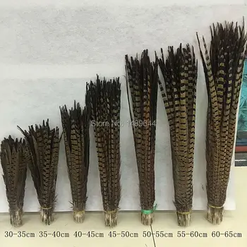 

wholesale! Sale 50pcs Natural Pheasant Feather 20-22 inches / 50-55 cm, Decorative DIY pheasant feathers