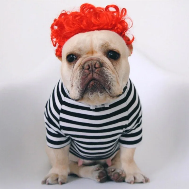 

Soft Synthetic Hair Colorful Dog Short Curly Wig Cap For Pet Dog Cat Cosplay Halloween Costume Fancy Dress