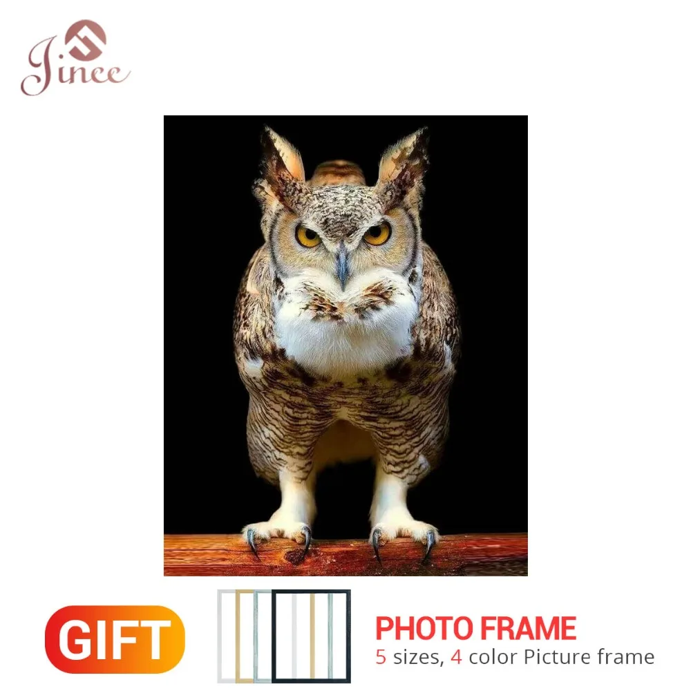 

DIY Diamond Painting Stare Owl 5D Cross Stitch Diamond Embroidery Bird Animal Photo Rhinestones Christmas Gift Framed