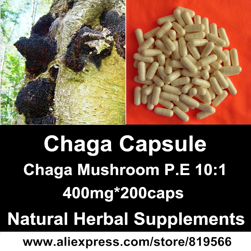 

Chaga Mushroom Extract Powder Capsules 30% Polyose Natural Health Care Fungus Herbal Caps Dietary Supplements Inonotus Obliquus