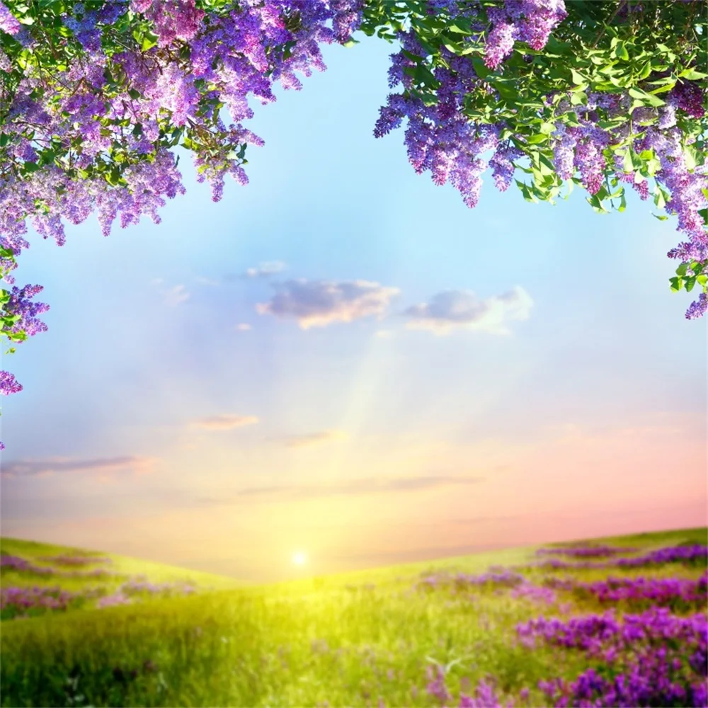 

Laeacco Spring Flowers Field Sunset Grassland Scenic Photography Backgrounds Customized Photographic Backdrops For Photo Studio