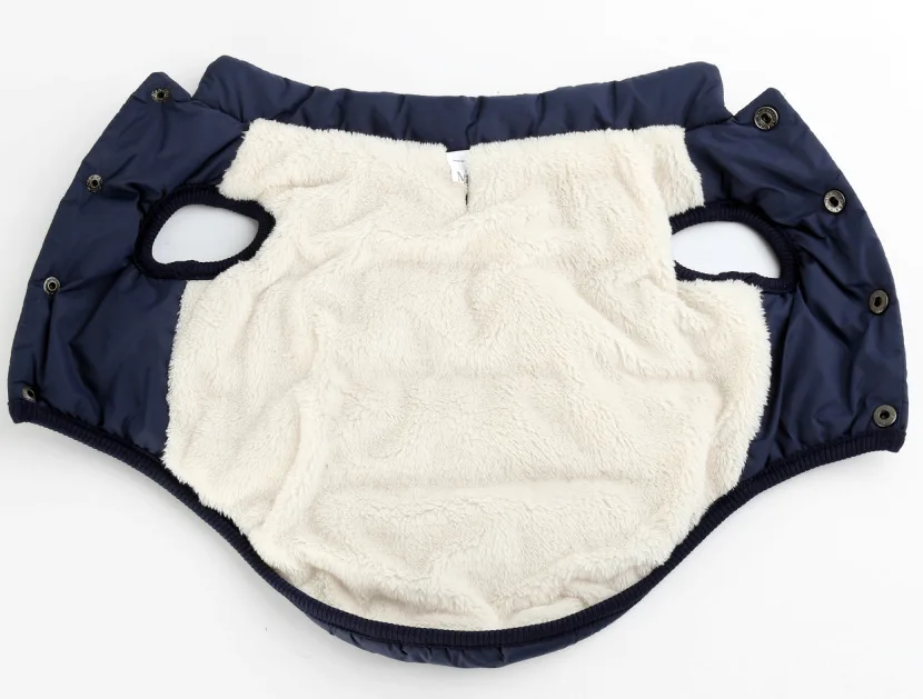 3613960856_1954311762