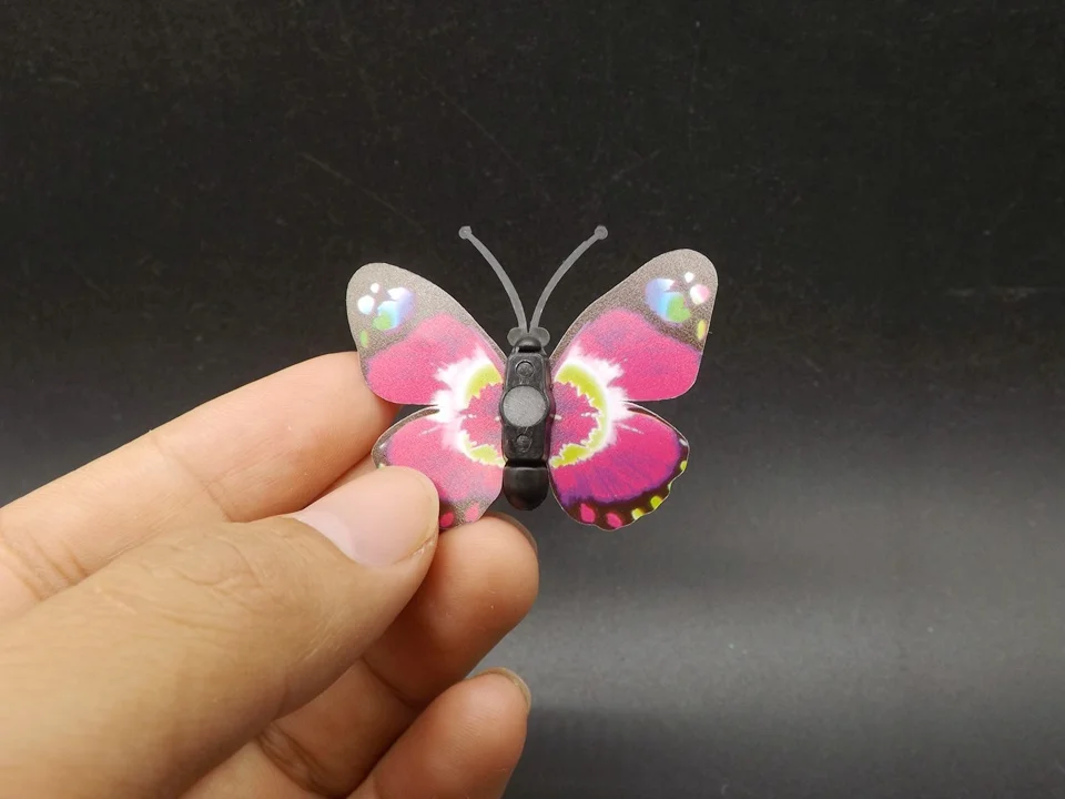 I250-Butterfly (4)