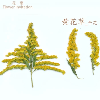 

Flower Invitation Yellow Grass DIY Dried Plant Specimens With Branches Of Natural Herbs Pressed Flower Bouquet