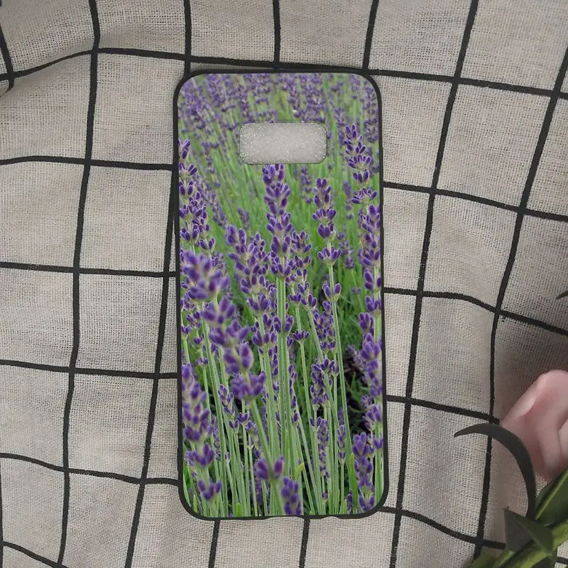 Simple lavender Purple flowers