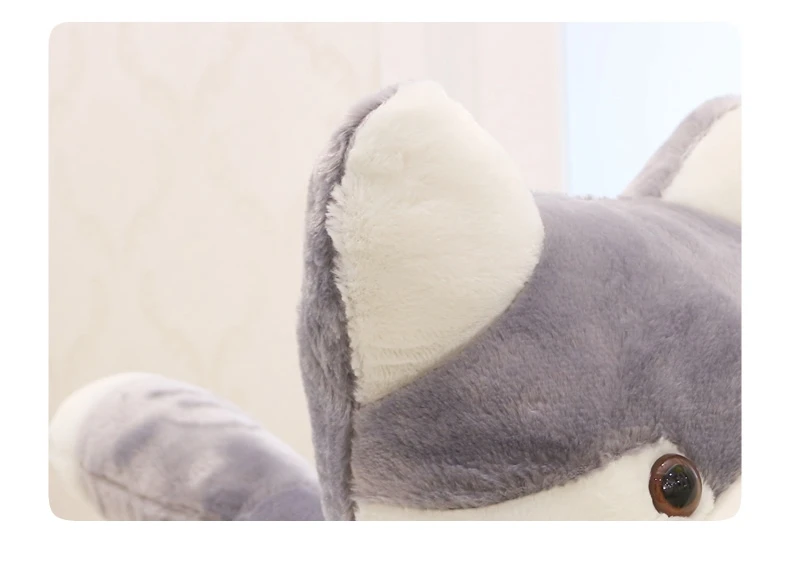 cute husky doll plush toy dog toys children's day birthday gift deco DY50689 (9)