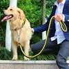 Double Strand Rope Large Dog Leashes Metal P Chain Buckle Contrast  Colorful Pet Traction Rope Collar Set Firm 1.2m Length 3
