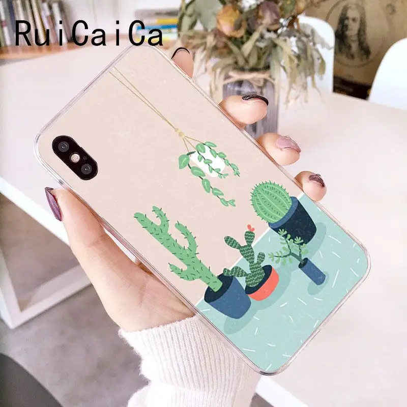 Candy Color Art Cactus Plant