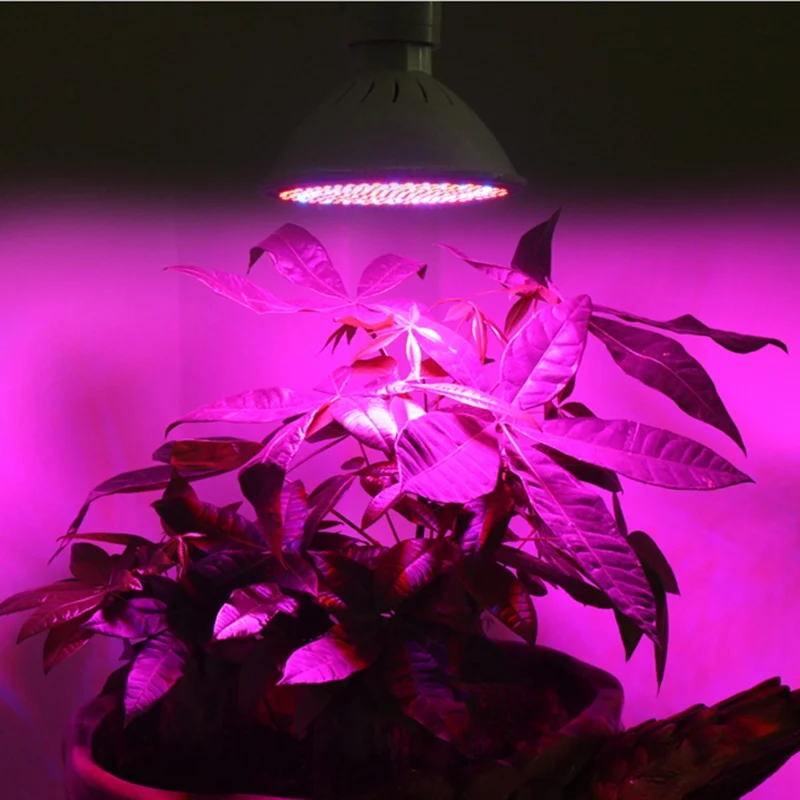 Levou Crescer Luzes crescimento de mudas Tipo de Item : Luzes para Crescimento