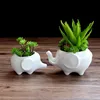 Pot de fleur en céramique Mini éléphant Succulent Pot de fleur décoration de la maison cadeaux de décoration de jardin ► Photo 2/2