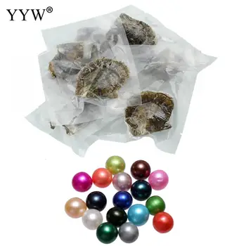 

20pcs Vacuum-Packed 7-8mm Oysters with Pearls Akoya Cultured Sea Pearl Oyster Beads Pearl Mussel Shell with Pearl Mixed Color
