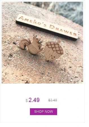 dianxiaobao