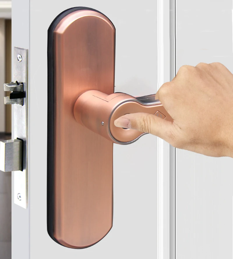 Цифровой замок отпечатков пальцев Smart Lock дома охранной сигнализации электрический замок интеллектуальные ключ разблокировки с замком тела