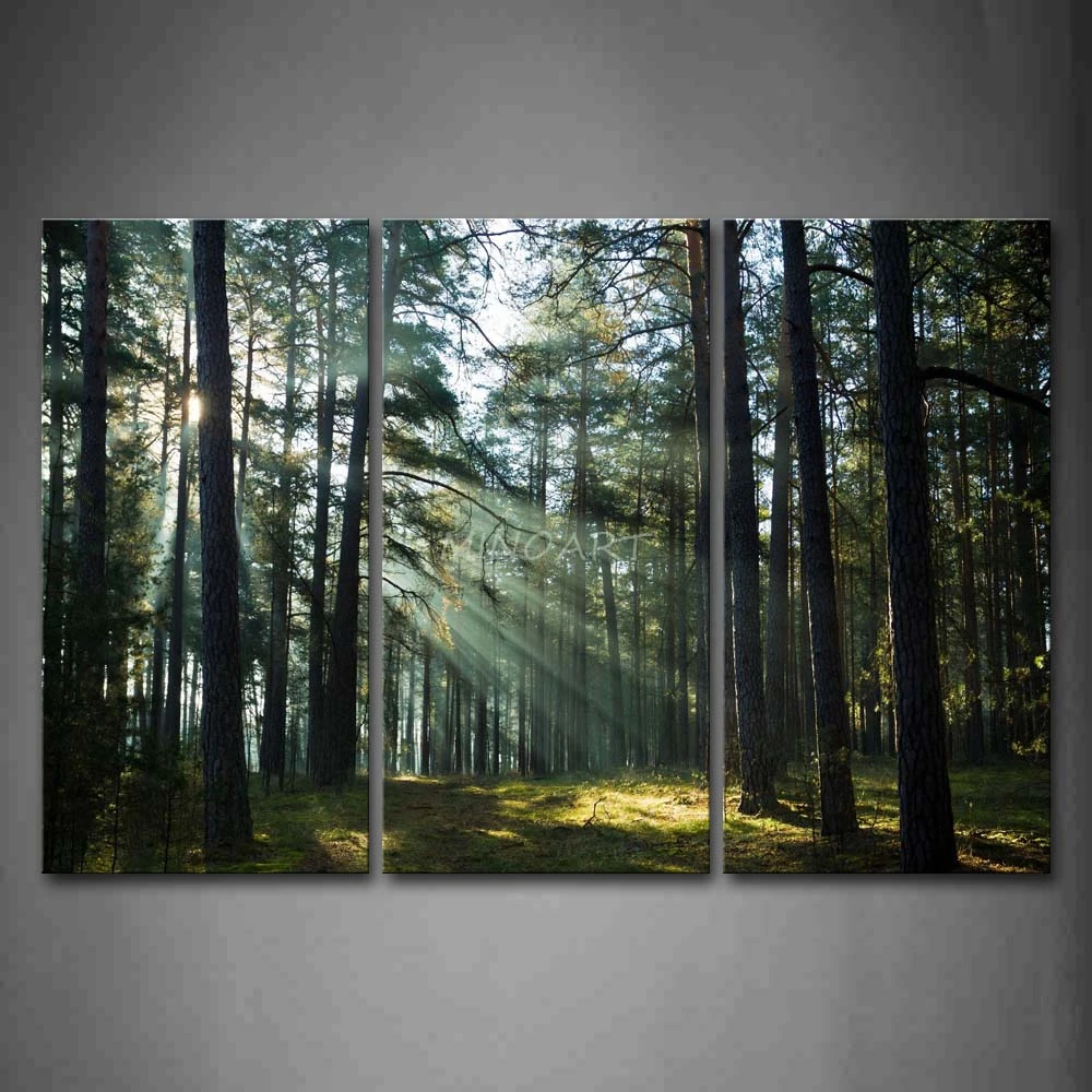 3 Piece Wall Art Painting Sunshine Through Forest Picture Print On Canvas Landscape 4 The Picture Home Decor Oil Prints Print On Canvas Picture Printsart Painting Aliexpress