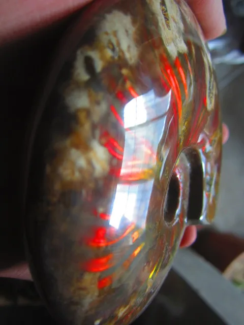 Special Price 417g(0.91 lb) Iridescent Ammonite Ammolite Specimen Fossil Madagascar BFB1080