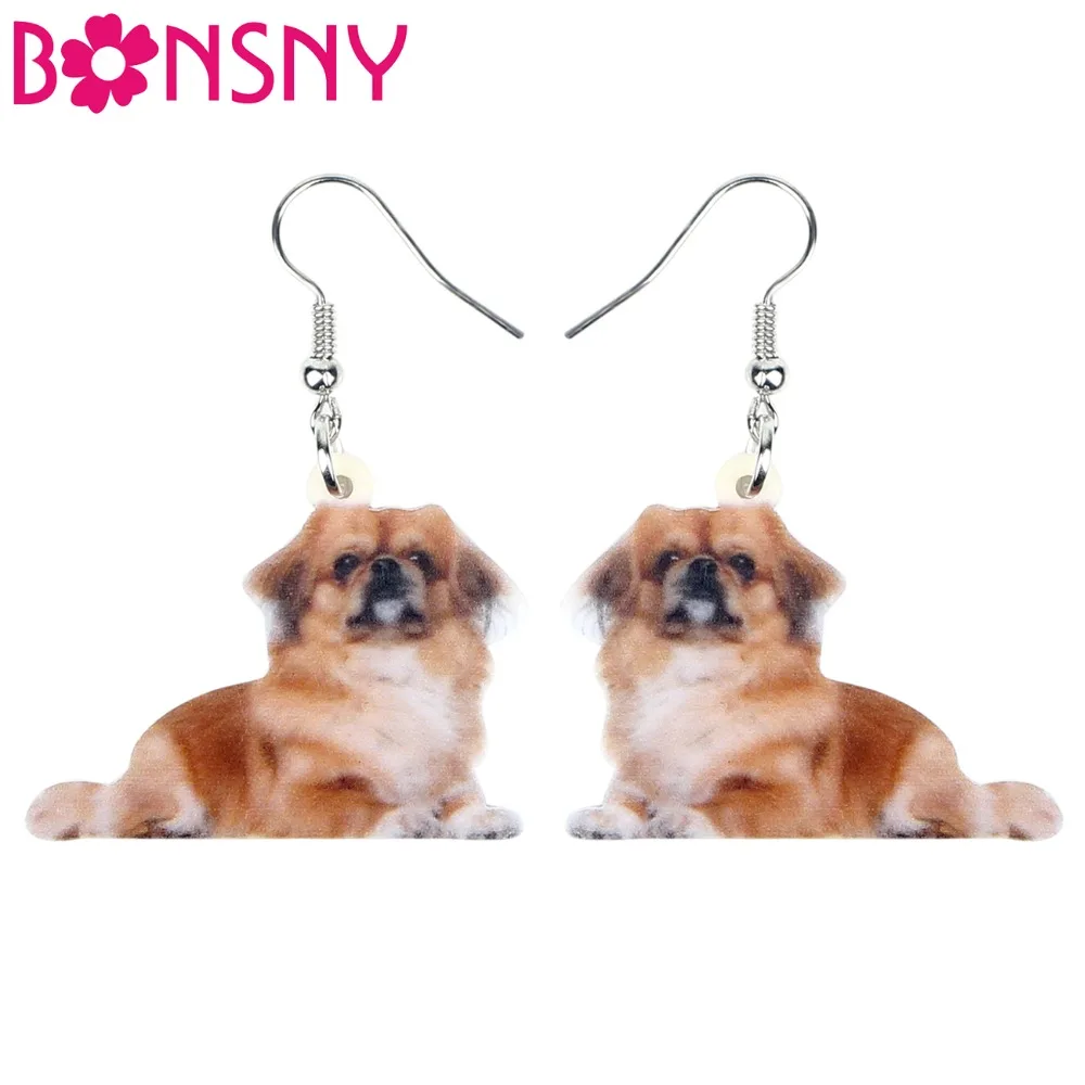 Acrylic Animal Jewelry Acrylic Dog Earrings Acrylic Charms Dangle