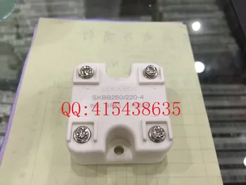 

Free Shipping 1PCS/LOTS New and original SKBB250/220-4 Power supply module