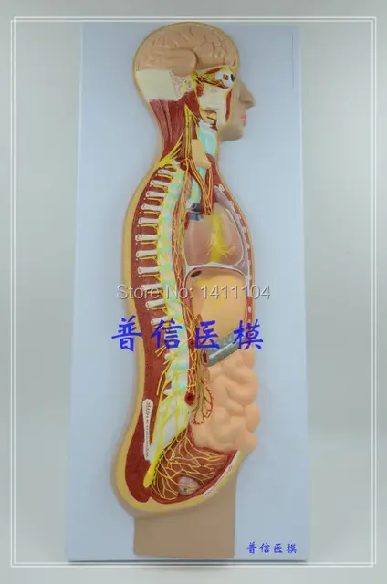 shop architects of piety the cappadocian fathers and