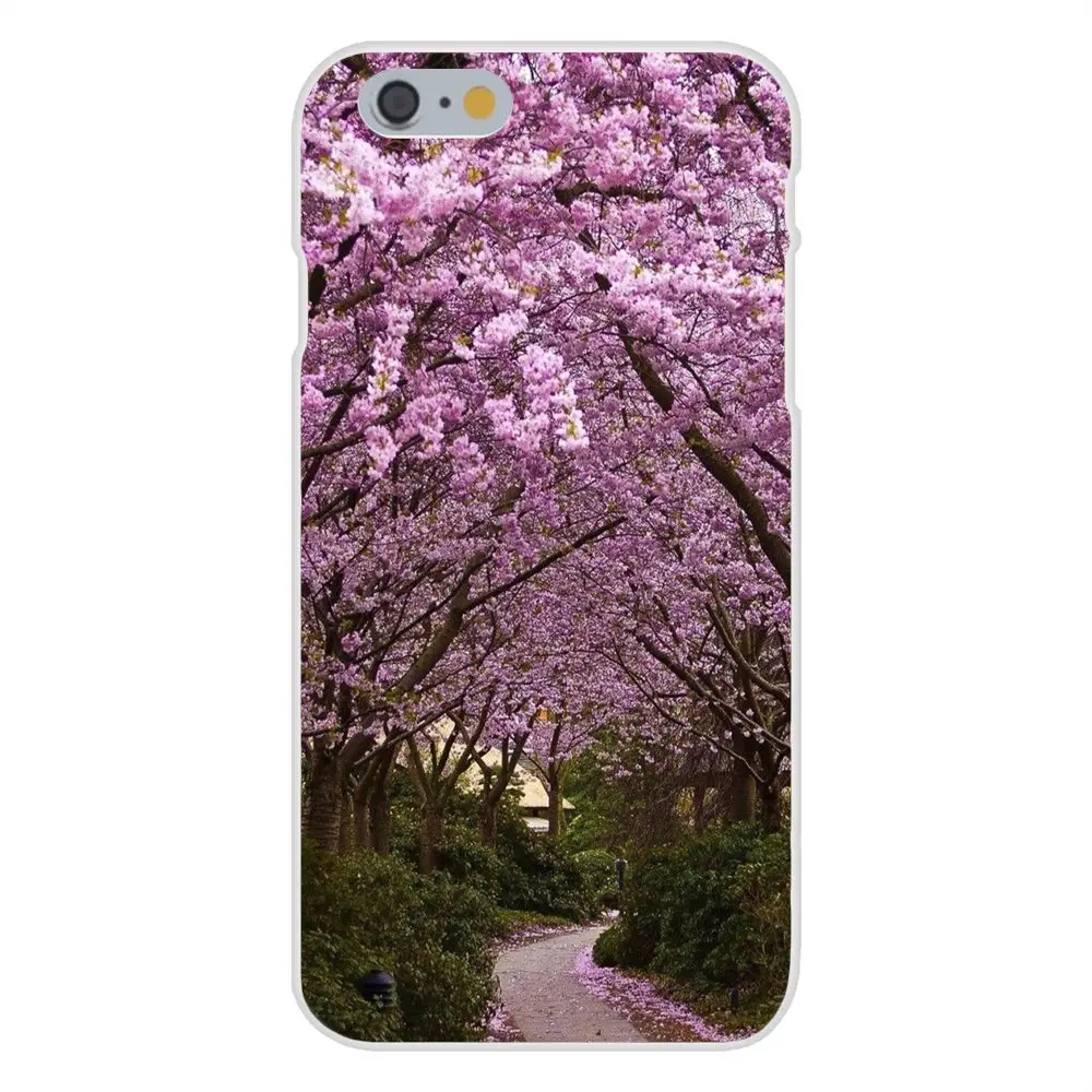 20160222233757_4avhP.thumb.700_0