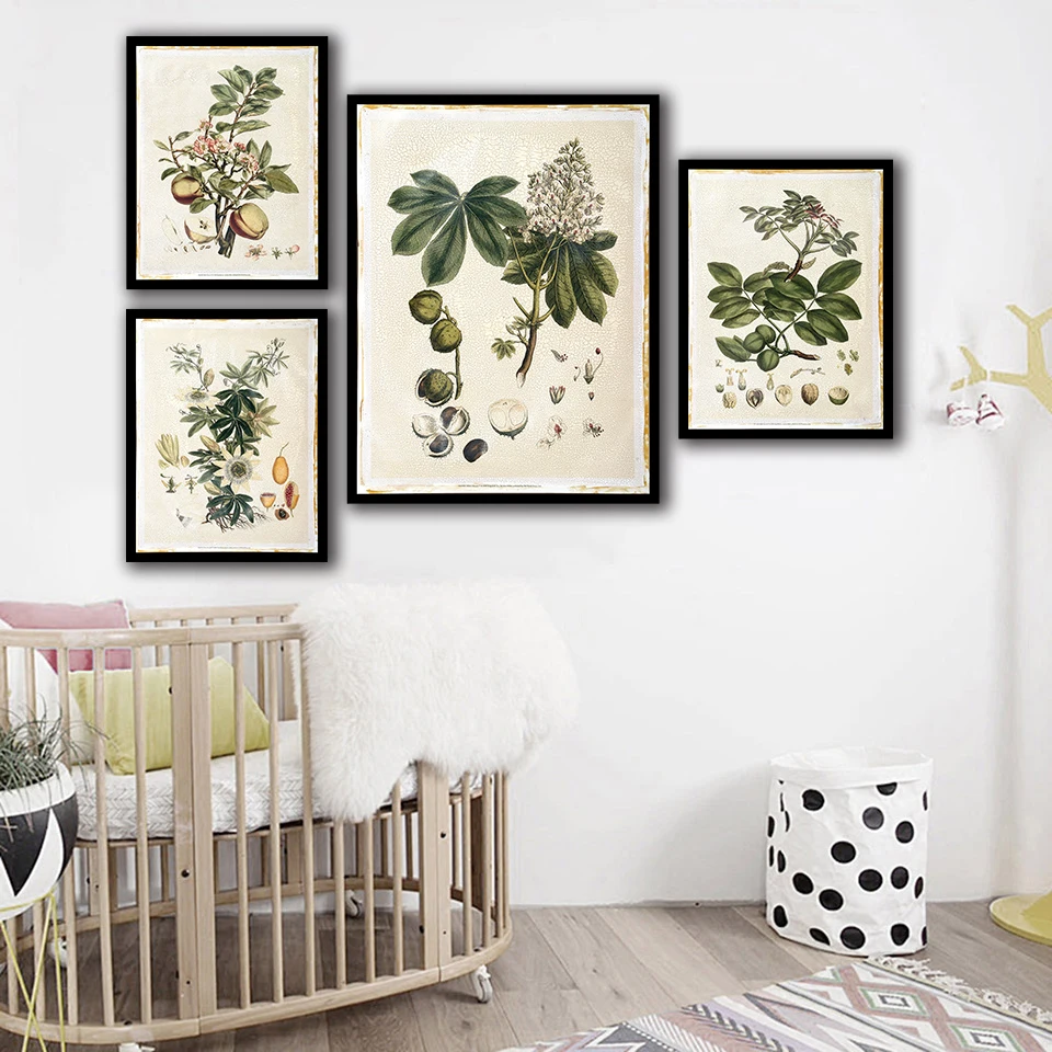 

HD Print Painting Minimalist Poster Wall Pictures Green Plant Fruit Nordic Style Canvas Artwork For Home Wedding Decoration