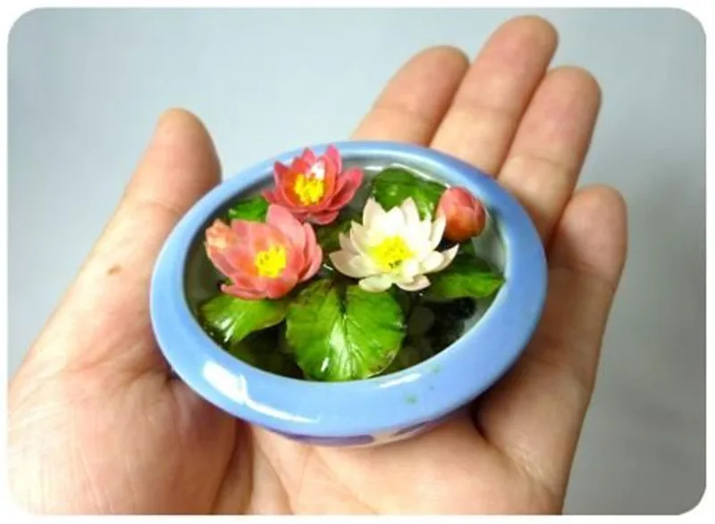 10 Pcs/Bag Lotus Flower, Mini Lotus Bonsai Aquatic Plants Bowl Lotus Water Lily Flores Perennial Plant For Home & Garden Decorat