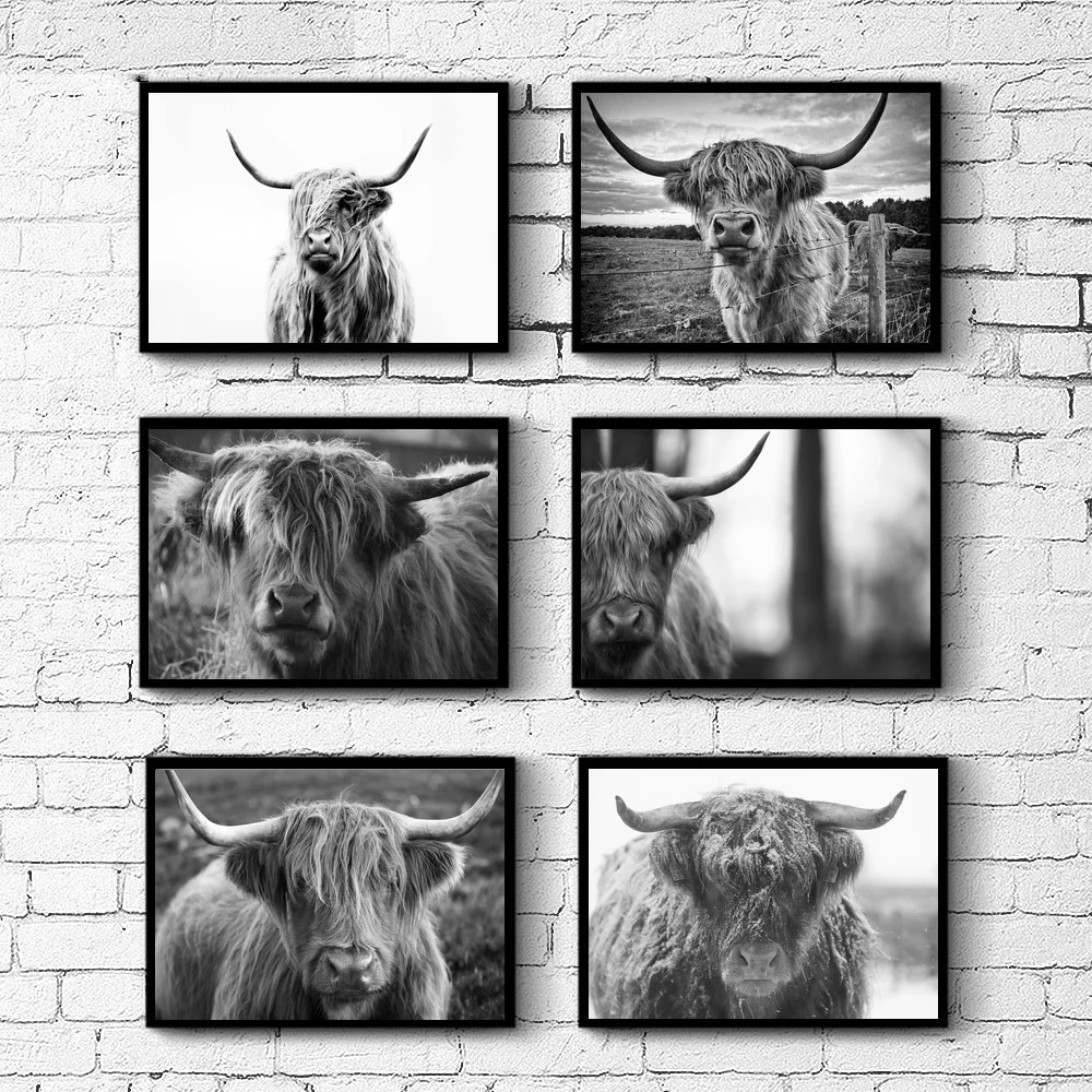 

Highland Cow Farm Animal Highland Bull Wall Art Paint Wall Decor Canvas Prints Canvas Art Poster Oil Paintings No Frame