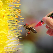 1 шт., маркер для пчел, набор, 8 цветов, пчелиная королева, маркировка, разноцветные маркеры, оборудование для пчеловодства, инструменты для пчеловода