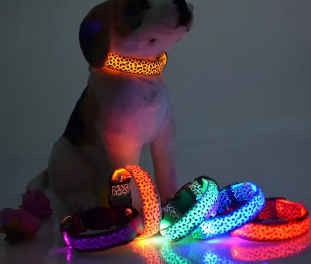 Upto 80 Off On Leopard Nylon LED Dog Glow Collar