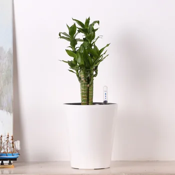 

Eight Color Water Level Gauge Automatic Watering Pot Intelligent Plastic Flower Pots Creative Home Christmas New Year Decoration