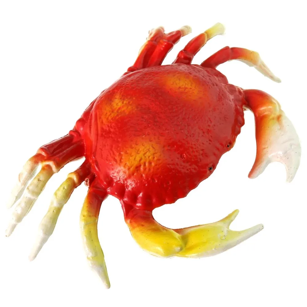 Animal-005