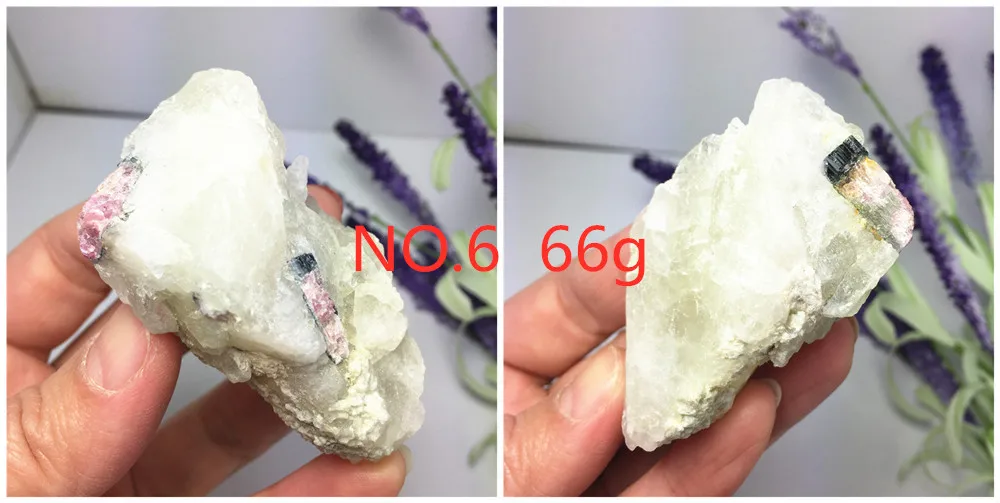 6 (1)_